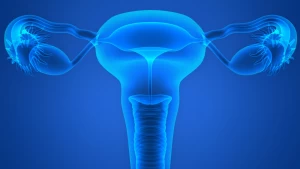 Clinical Support Staff